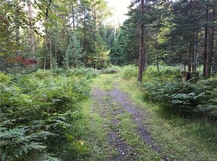 165 Little Beaver Lake Rd, Forestport, NY 13338