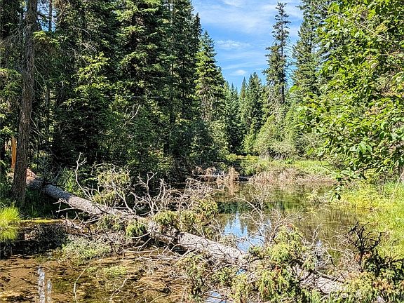 5th image of 1550 Lost Creek Dr