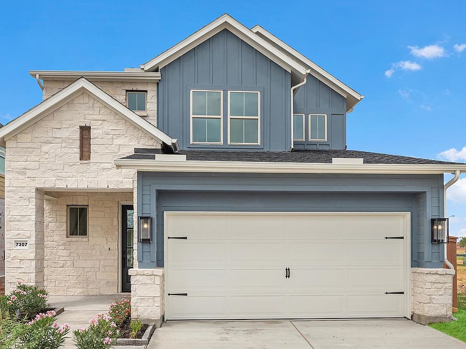 7307 Winding Aster