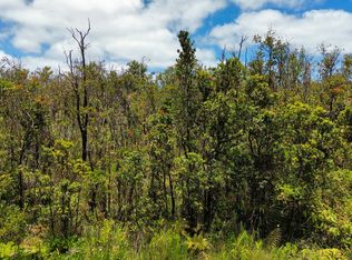 Omeka Rd, Volcano, HI 96785