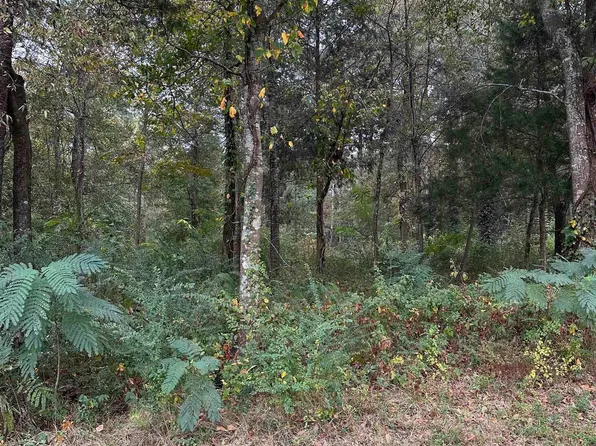 0 Annesley Dr #1, Pell City, AL 35128