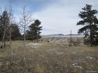 327 Brahma Cir, Hartsel, CO 80449