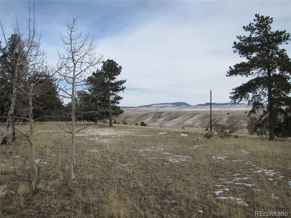 327 Brahma Cir, Hartsel, CO 80449