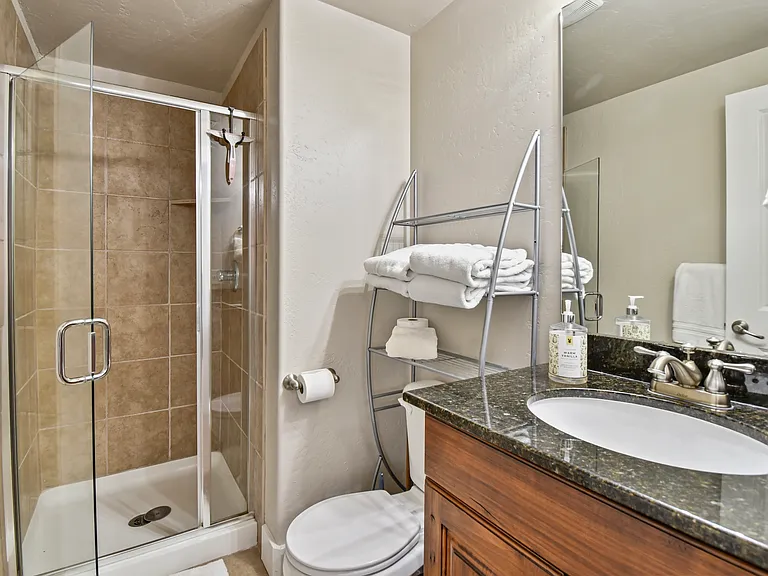 Lower Level Bathroom