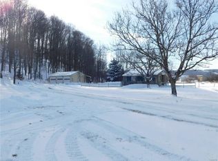 1300 Ryan Rd, Tully, NY 13159
