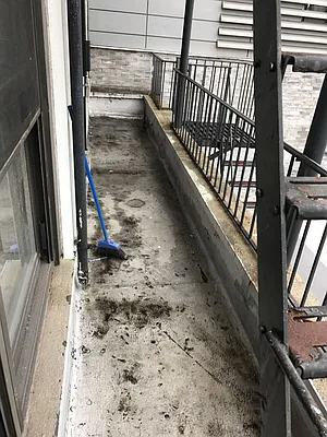 Rented by J Misrahi Realty Corp | media 40