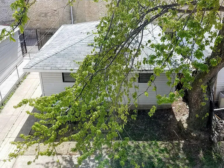 Backyard & Garage