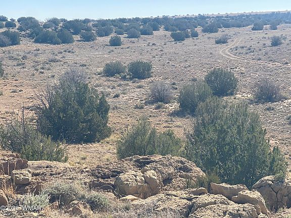 2nd image of 1515 Pumpkin Patch Rd