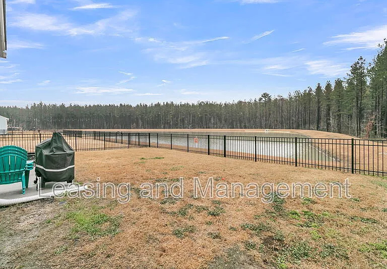 245 Summer Tanager Dr — Photo 20