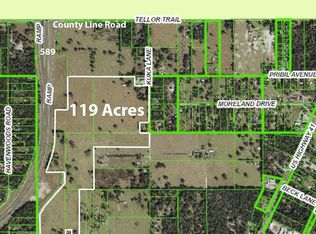 20139 Bowman Rd, Spring Hill, FL 34610