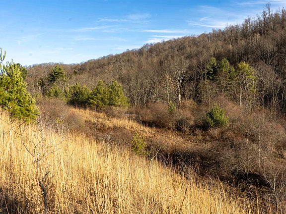 2nd image of LOT 1 Frost Run