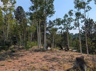 Fairview Dr, Cripple Creek, CO 80813