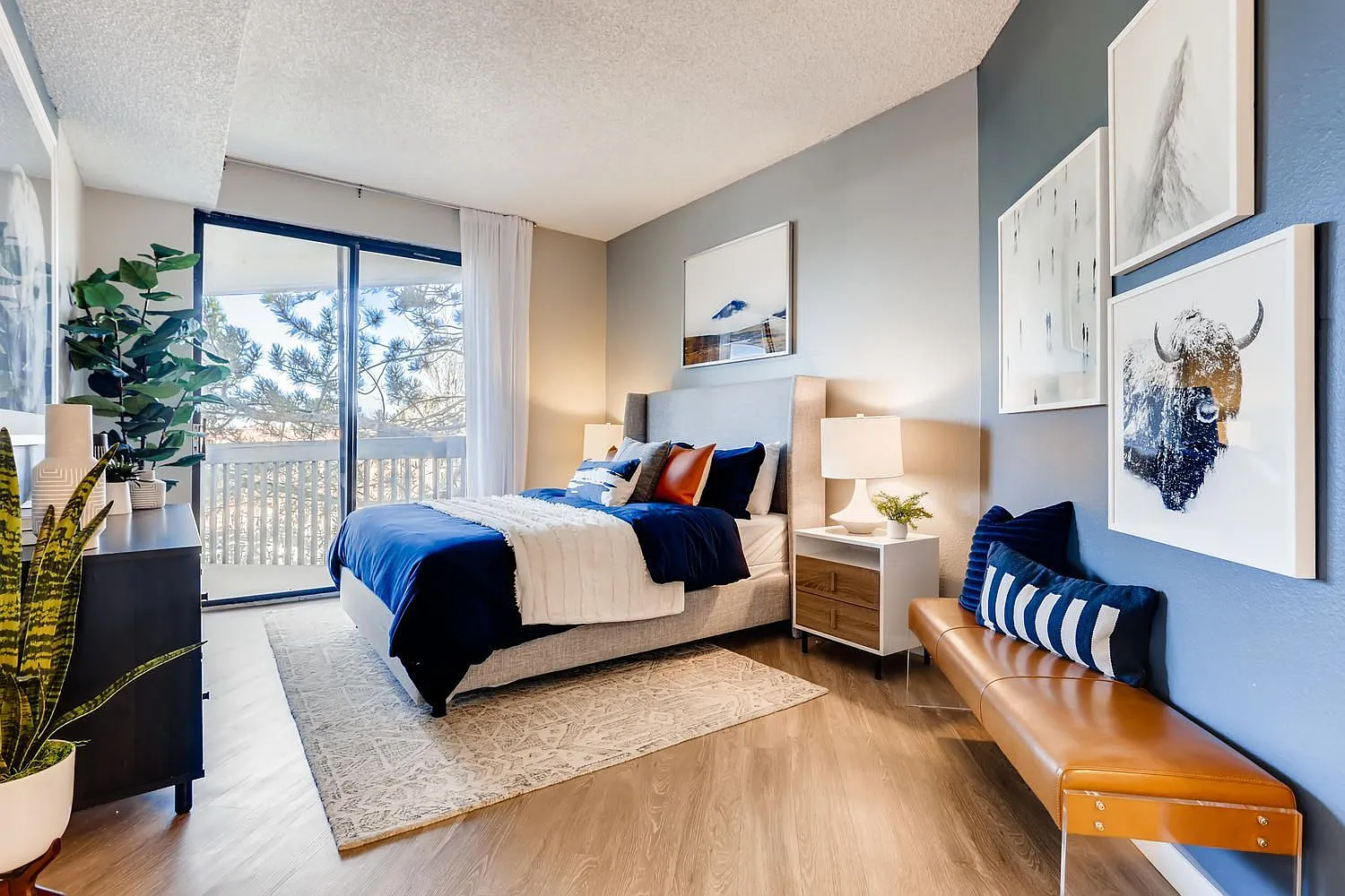 Alta Springs — Photo 1