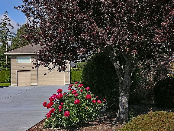 Driveway and Shop