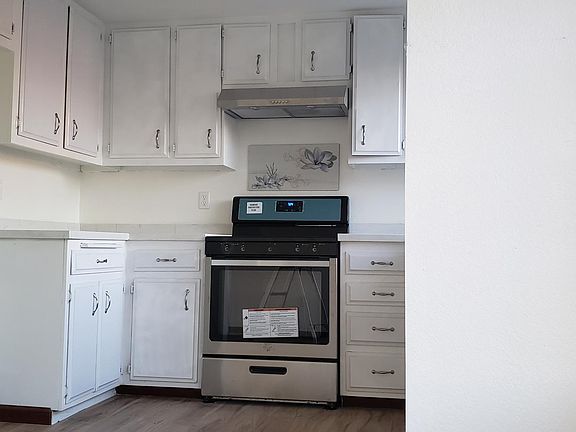 new stainless steel oven , new quazt counter top, new hood, new wall flower medal