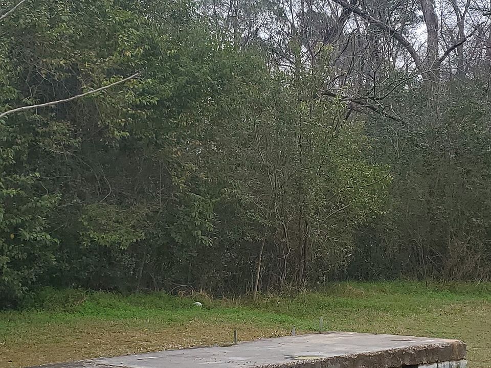 2nd image of 301 Shipp Ln