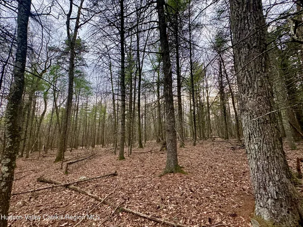 44 Cliff Road, Accord, NY 12404