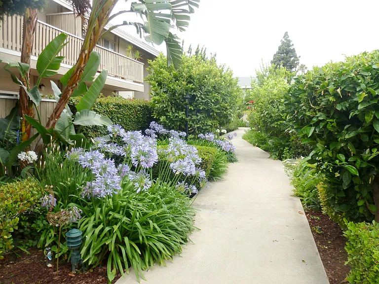 Alliance Ave — Photo 17