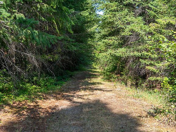 4th image of Hawk Meadows Rd #6