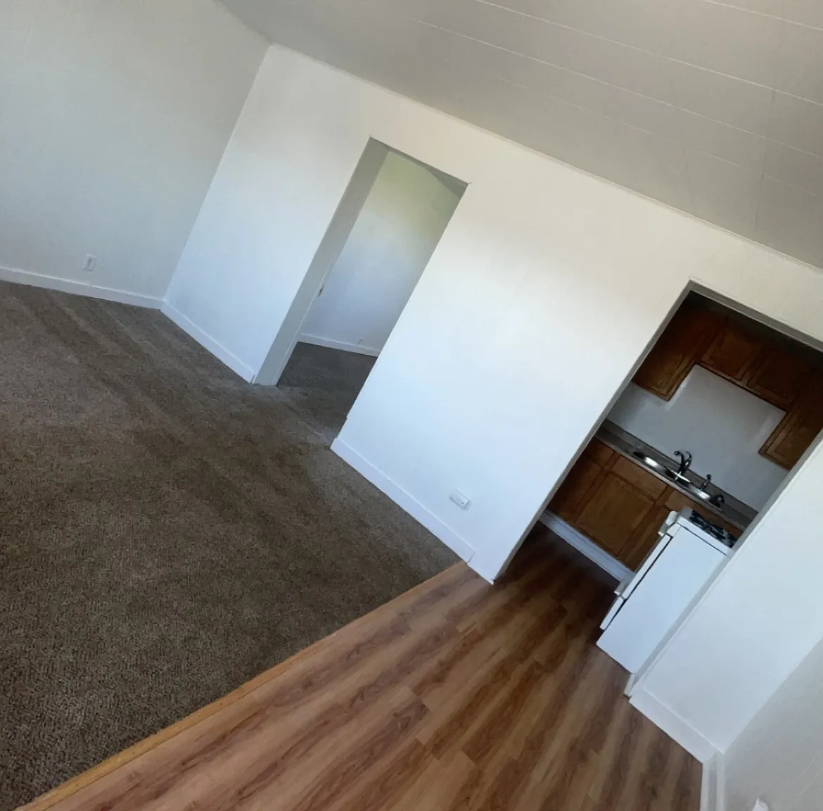 1 bed, 600 sqft, $850 — Photo 2