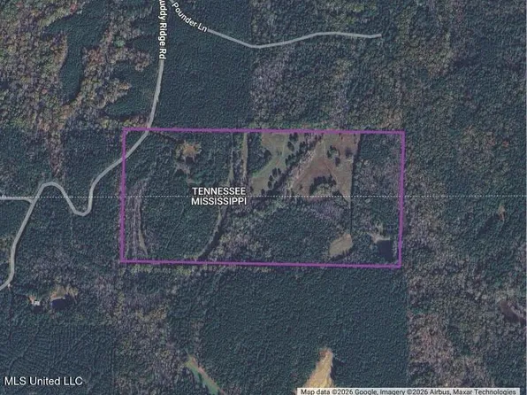 4665 Muddy Ridge Rd, Pocahontas, TN 38061