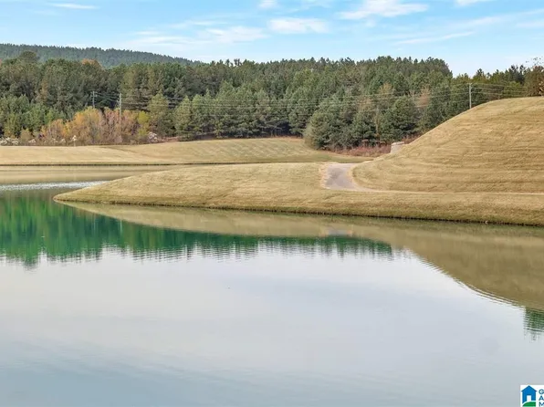 488 Lake Chelsea Way, Chelsea, AL 35043