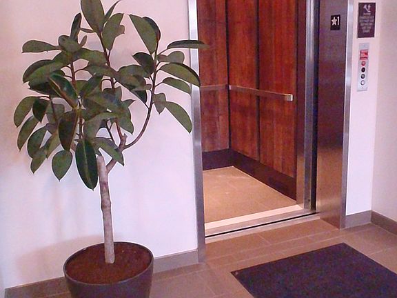 2nd image of 1652 Tempest Ct APT 302