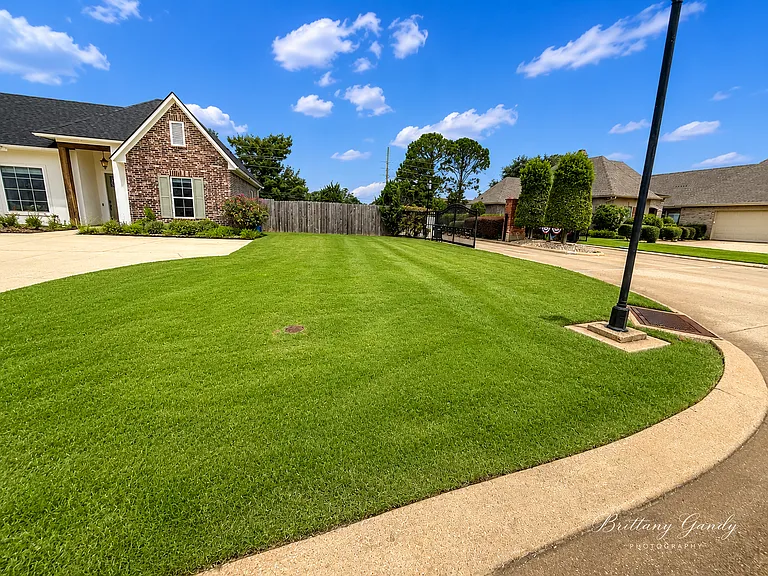 8820 Beau Chene Dr — Photo 4