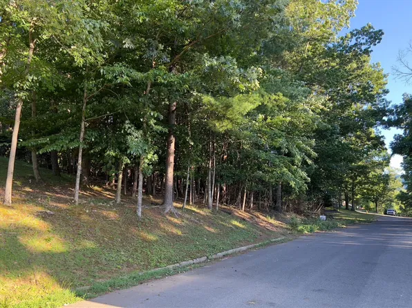 0 Laurel Ave #4 & 5, Buena Vista, VA 24416