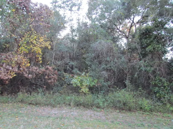  NW 115th St, Chiefland, FL 32626