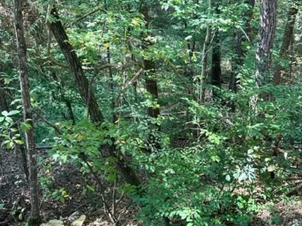 0 Hobgood Rd, Rydal, GA 30171