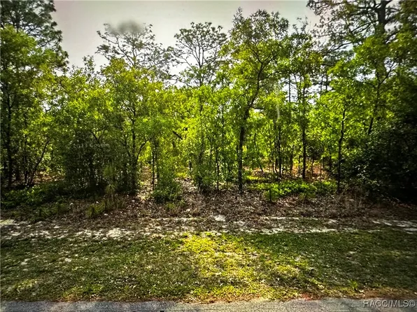 5105 N Princewood Dr, Beverly Hills, FL 34465