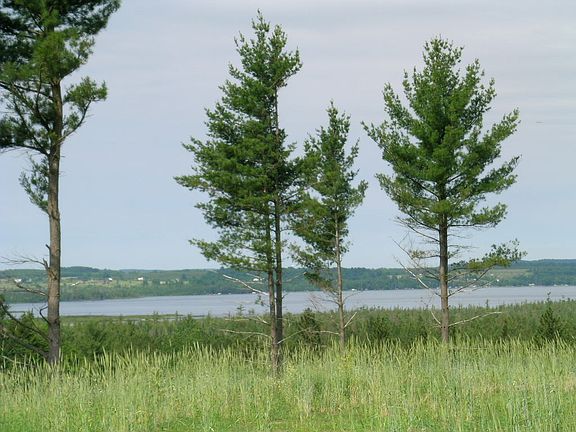 3rd image of 4839 Panoram Dr ##4