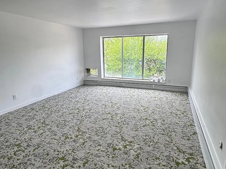 10101 Cadieux Rd #1 — Photo 35