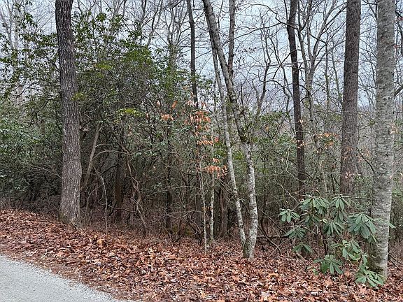 5th image of 24 Ideal Acres Rd