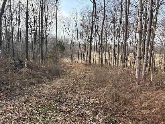 3rd image of 6808 E Union Rd