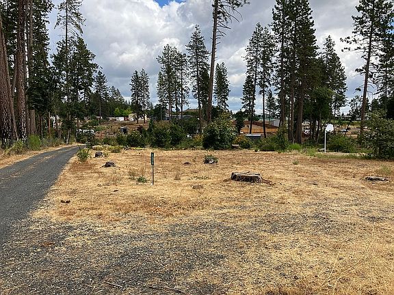 Looking east from Harvey