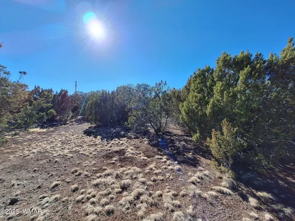 3119 North St, Vernon, AZ 85940