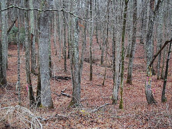 4th image of 9 Twin Oaks Rd