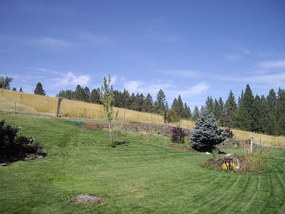 Yard looking at garden