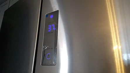 Rented by Dorit Avidar, LREB