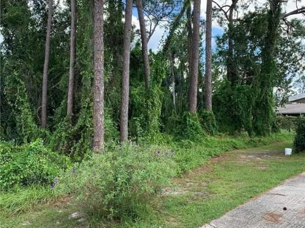 1407 Krouse St, Sebring, FL 33875