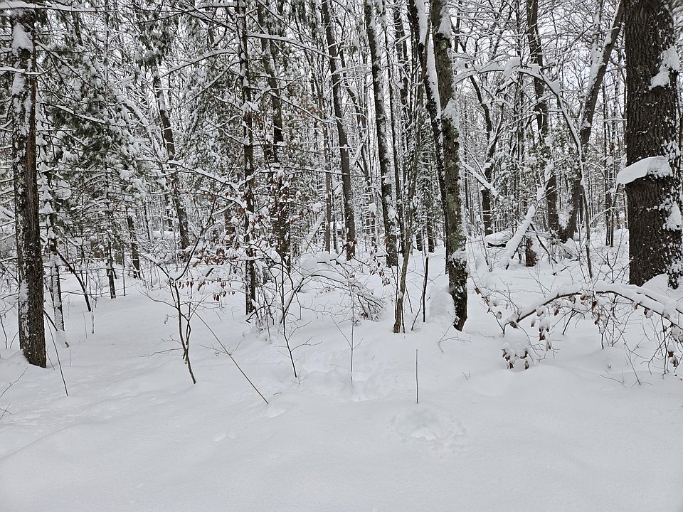 2nd image of V/l S Whalen Lake Rd