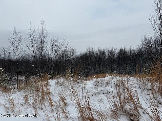 2nd image of 221 Buck Mountain Blvd