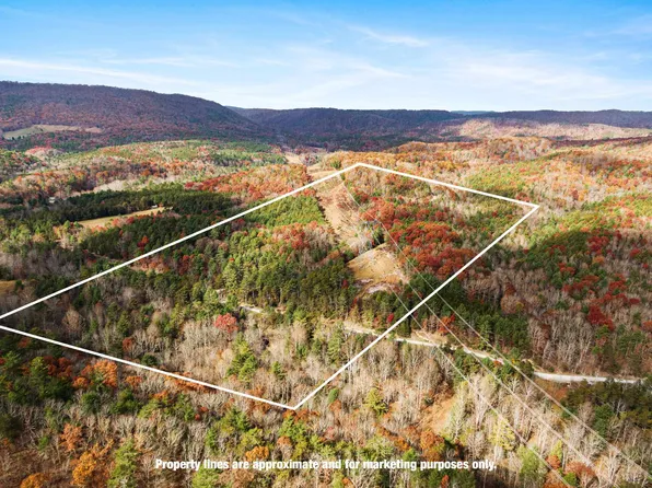 Tbd Millers Creek Rd, Max Meadows, VA 24360