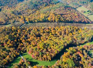 87980 Mill Hill Rd, Scio, OH 43988