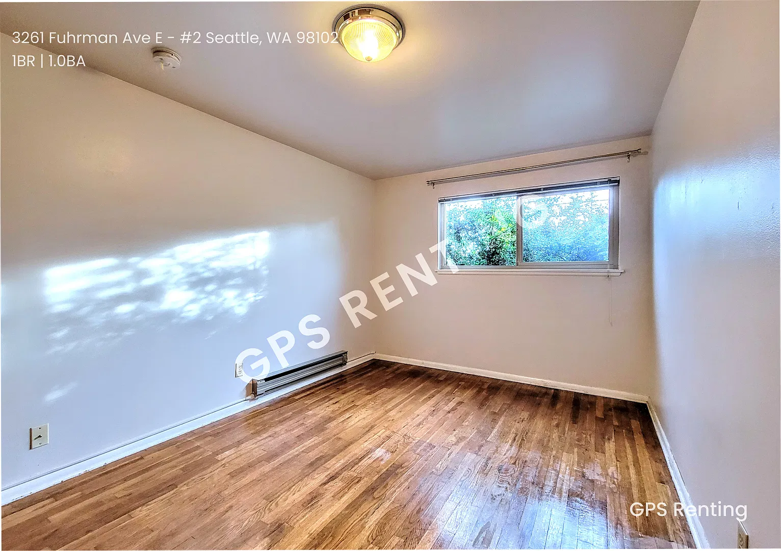 Spacious 1-Bedroom Apartment in Portage Bay Newly Cleaned — Photo 1