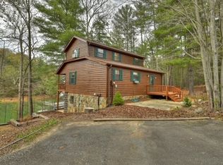 161 Caretaker Point, Blue Ridge, GA 30513