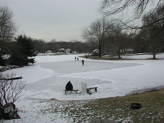 From the living room window in winter
