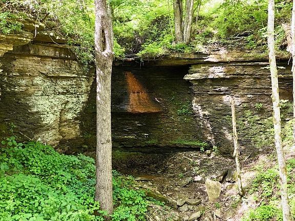 5th image of 0 Crane Creek Rd